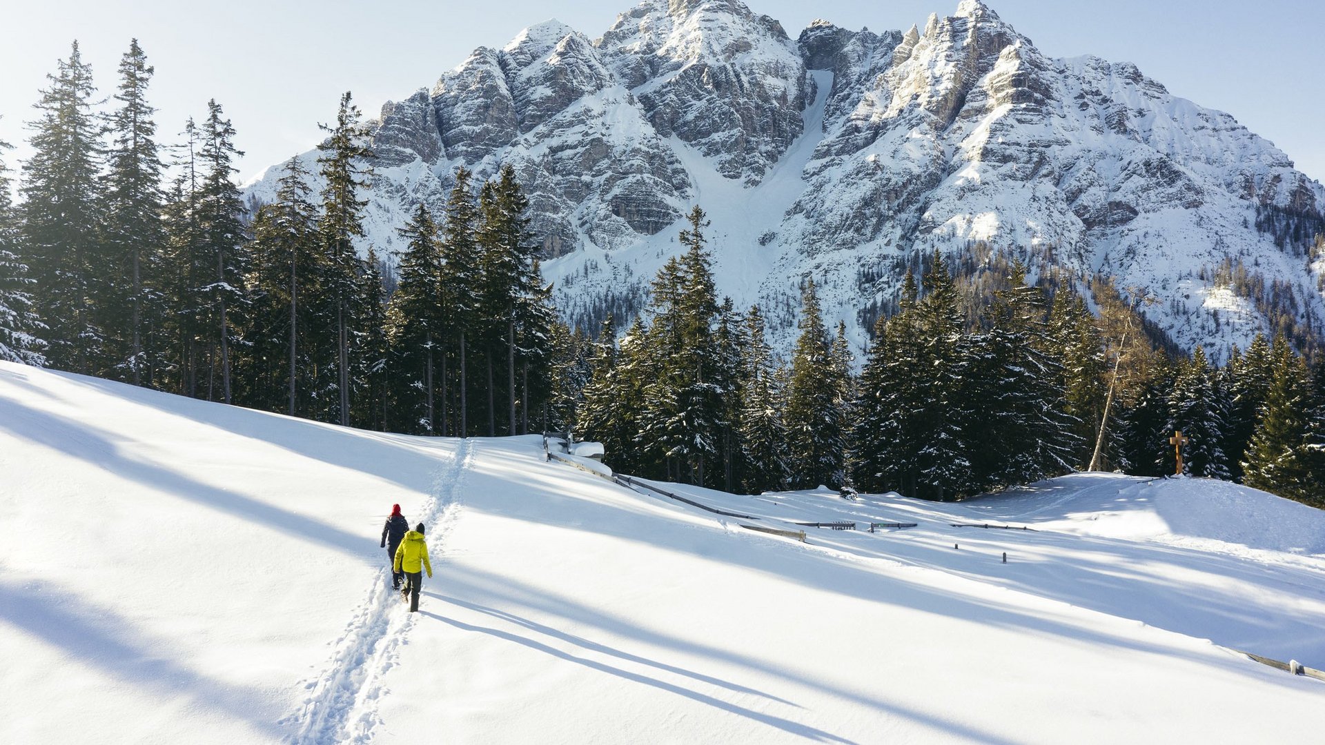 Highlights im Chalet in den Bergen