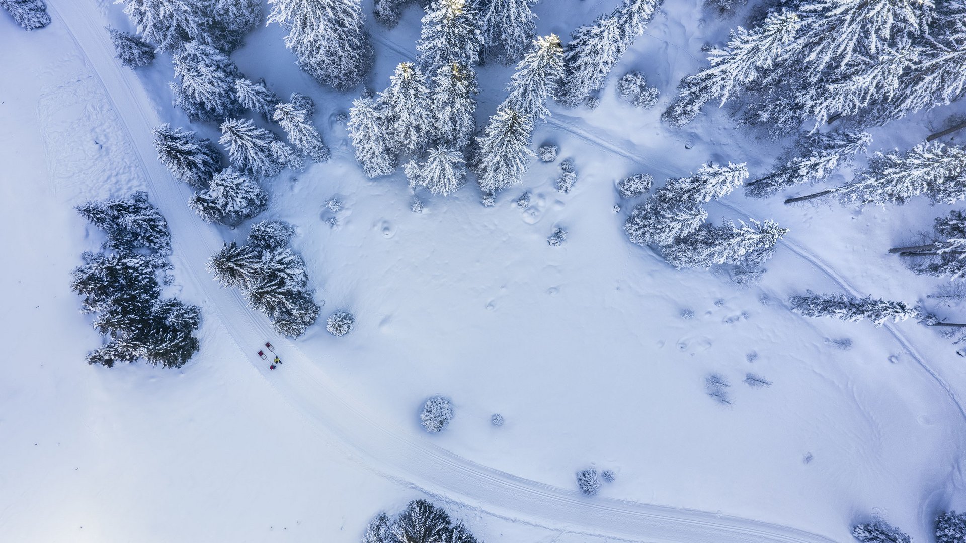 Erholungsurlaub im Chalet im Stubaital Vogelperspektive eines verschneiten Waldes mit einer Schneepfadstraße